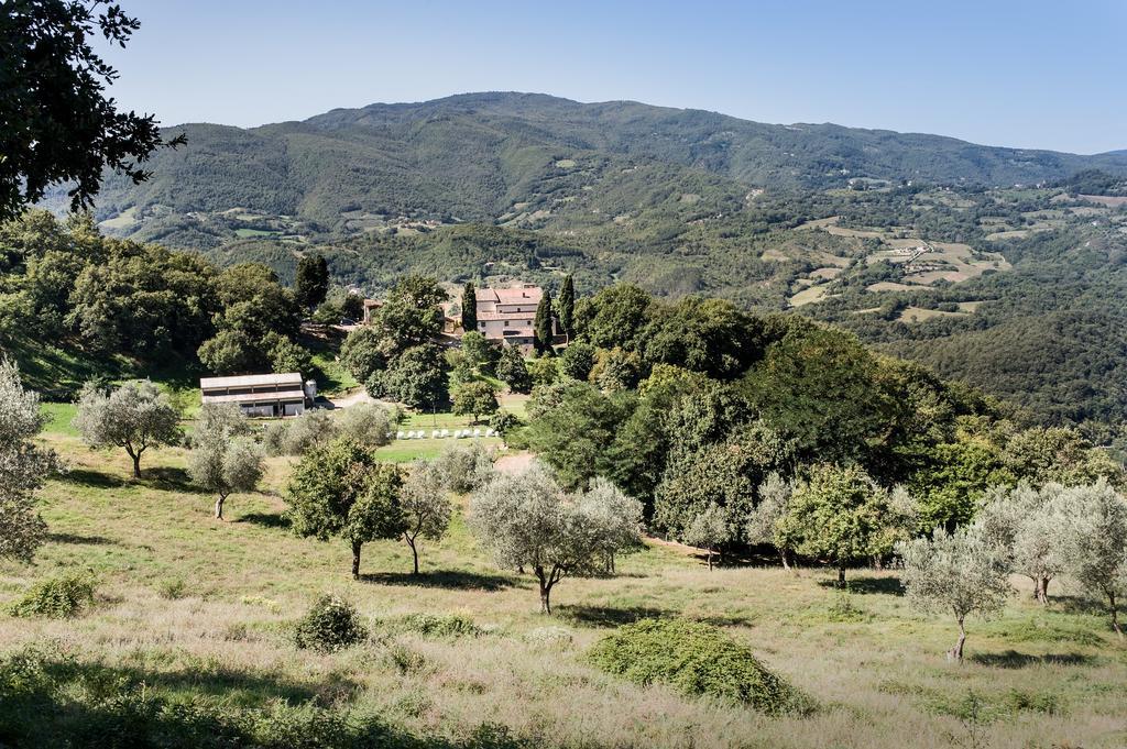 Agriturismo Di Baroni Enzo Dicomano Eksteriør billede