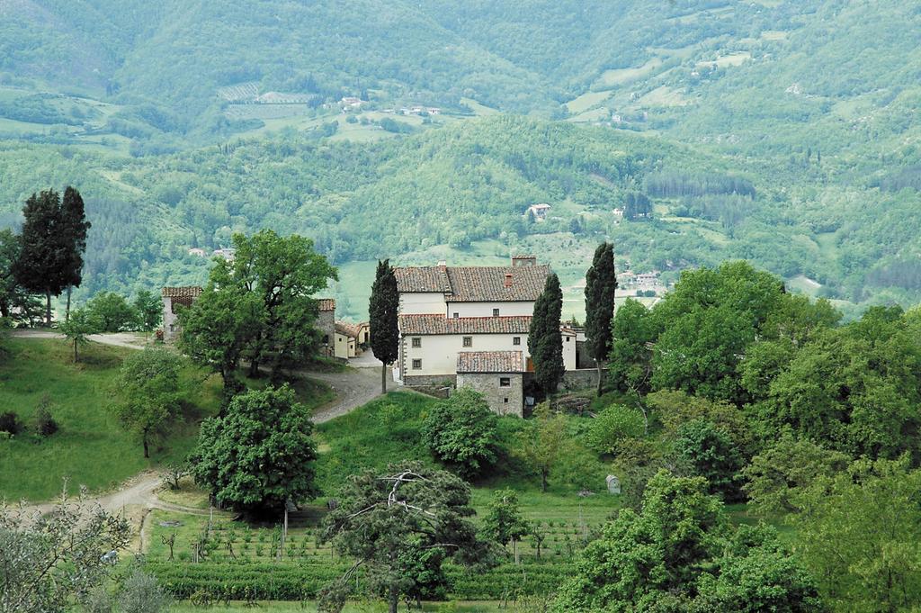Agriturismo Di Baroni Enzo Dicomano Eksteriør billede
